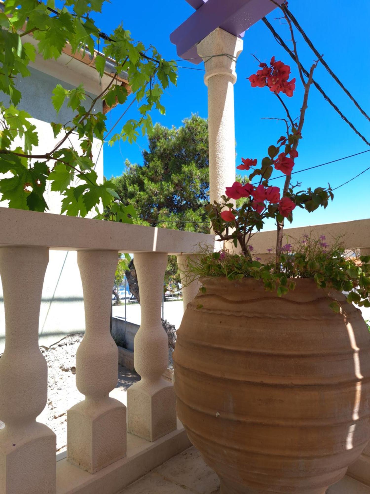 Jardin Kapetanova Kuca Apartment Veli Iž Екстериор снимка